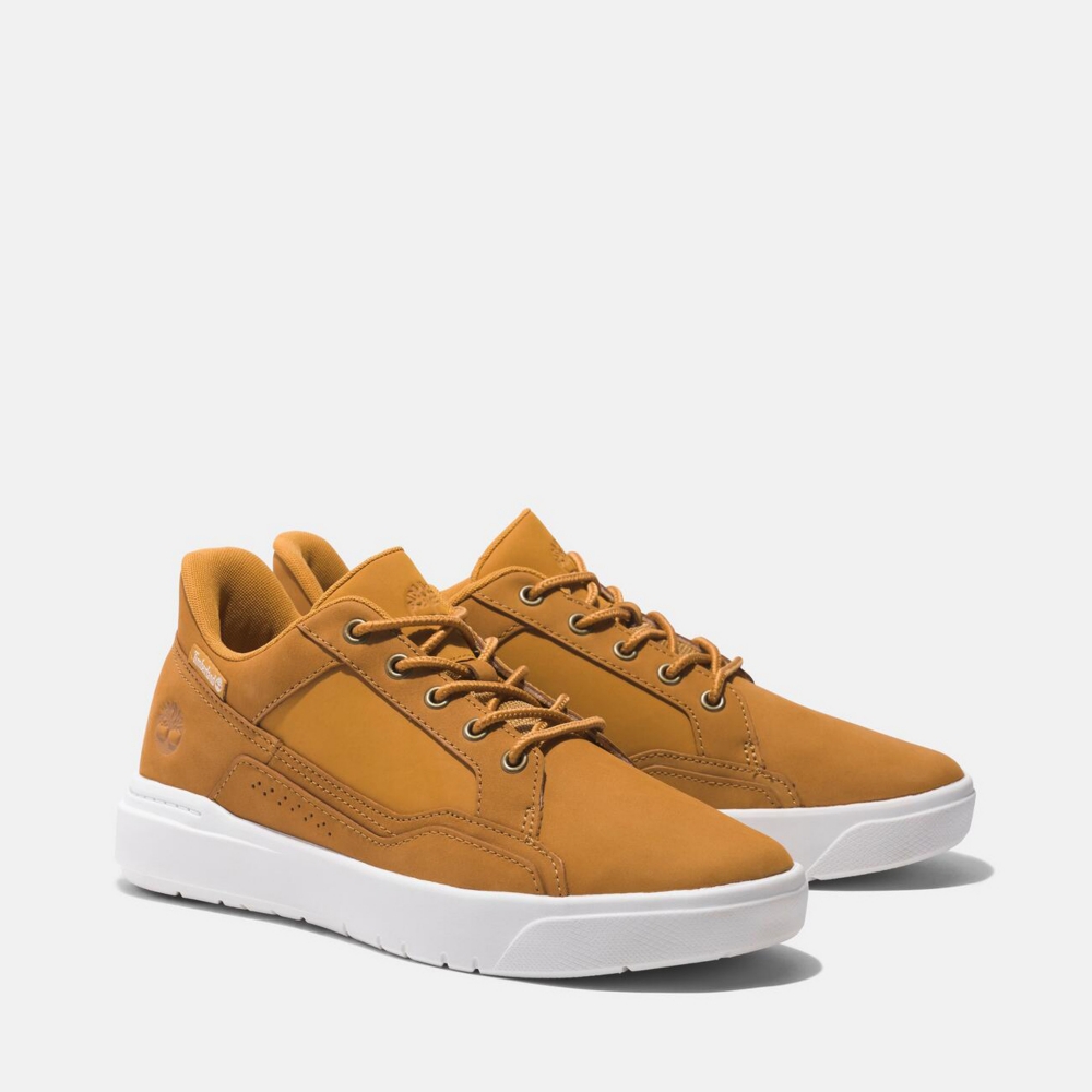 TENIS MASCULINO TIMBERLAND ALLSTON-LOW LACE UP